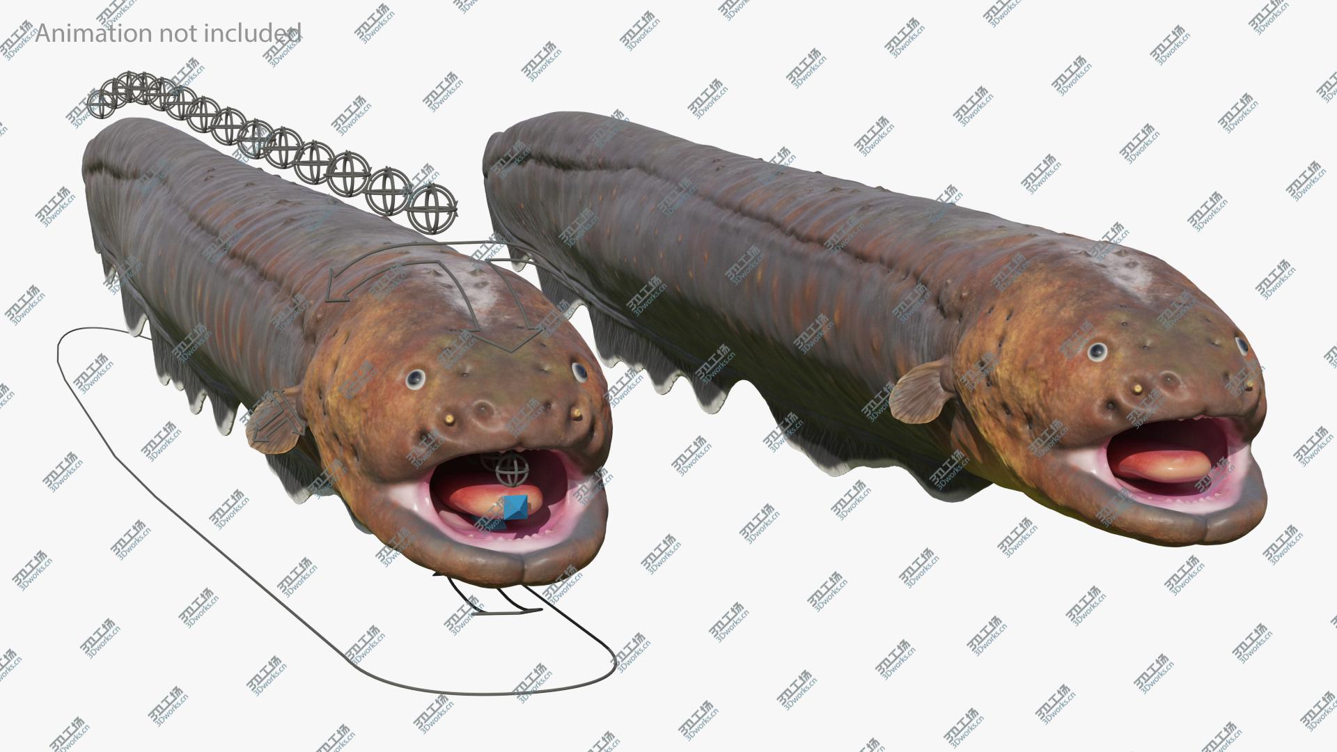 images/goods_img/2021040164/3D Electric Eel Rigged/4.jpg